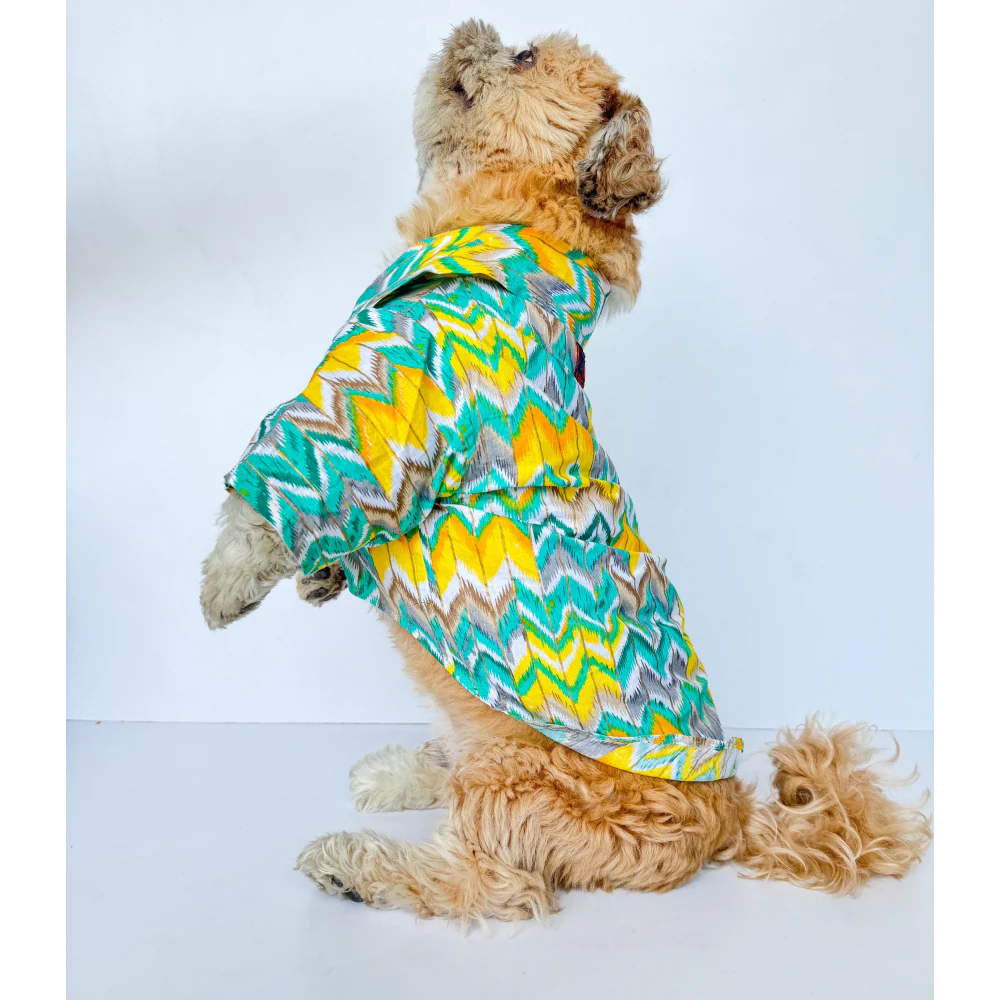 Pawgypets Zig Zag Kurta for Dogs and Cats (Green) - Image 4
