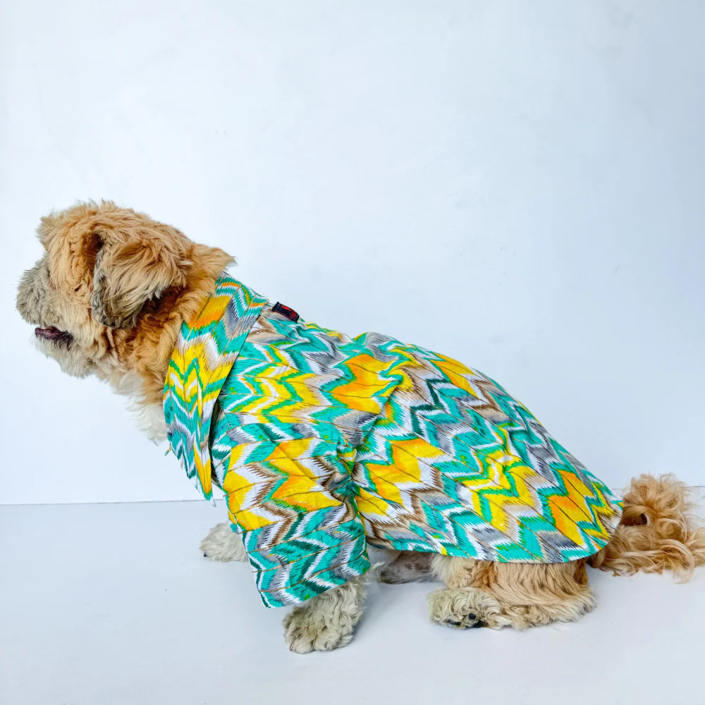 Pawgypets Zig Zag Kurta for Dogs and Cats (Green) - Image 5
