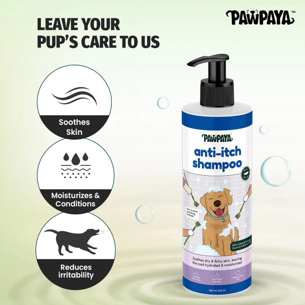 Pawpaya Anti Itch Shampoo for Dogs - Image 3