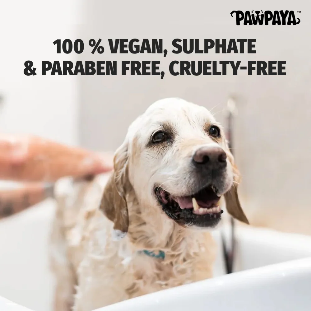 Pawpaya Anti Itch Shampoo for Dogs - Image 4