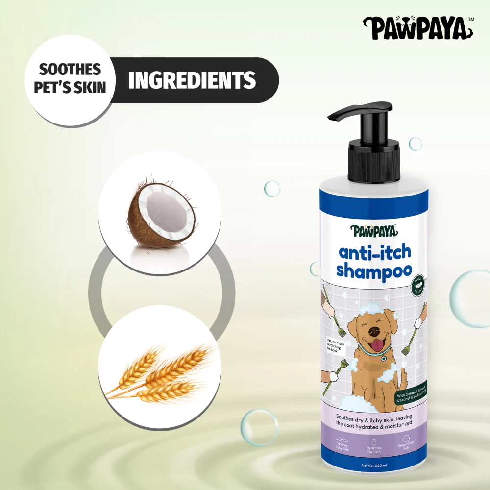Pawpaya Anti Itch Shampoo for Dogs - Image 5