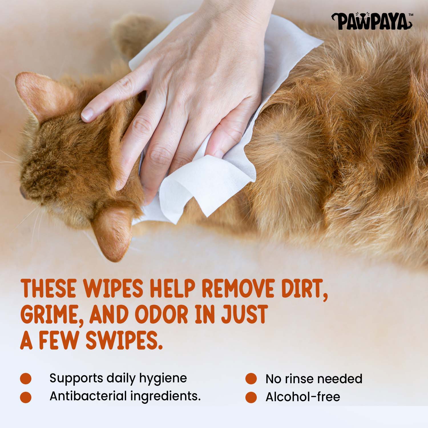 Pawpaya  Antibacterial wipes for Dogs and Cats - Image 2