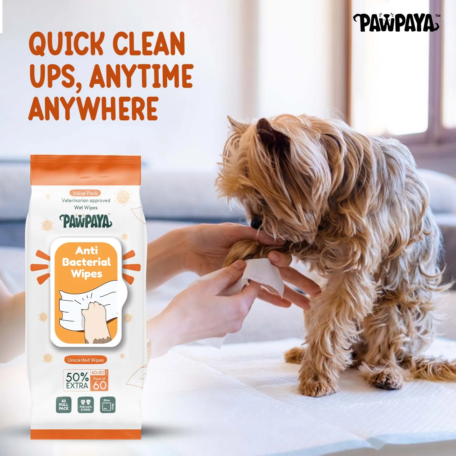 Pawpaya  Antibacterial wipes for Dogs and Cats - Image 3