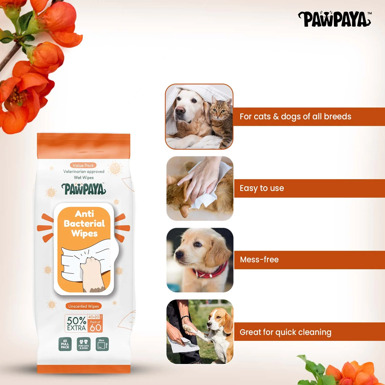 Pawpaya  Antibacterial wipes for Dogs and Cats - Image 4