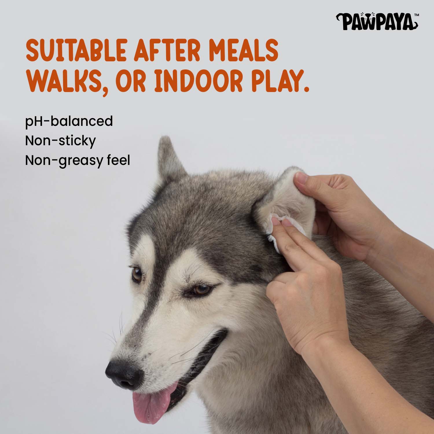 Pawpaya  Antibacterial wipes for Dogs and Cats - Image 5