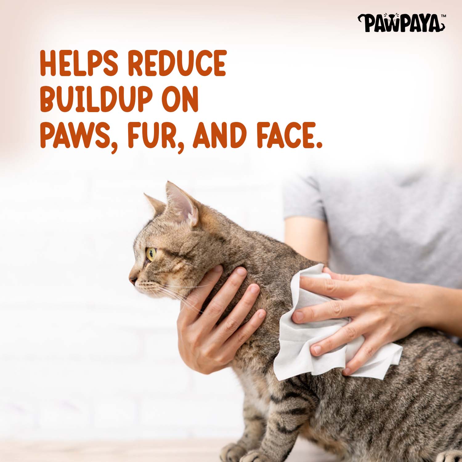 Pawpaya  Antibacterial wipes for Dogs and Cats - Image 6