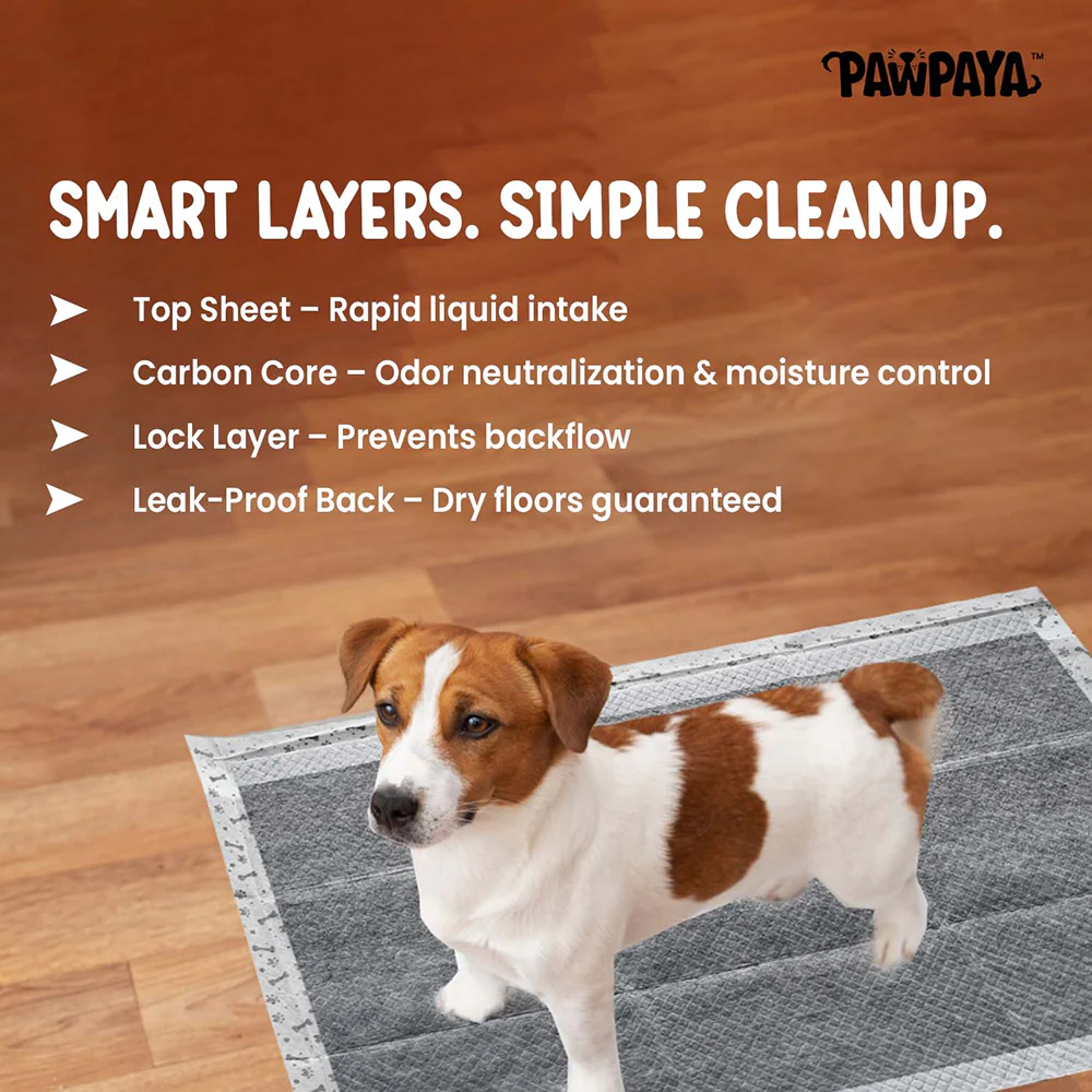 Pawpaya Carbon Training Pad for Dogs (White) - Image 4