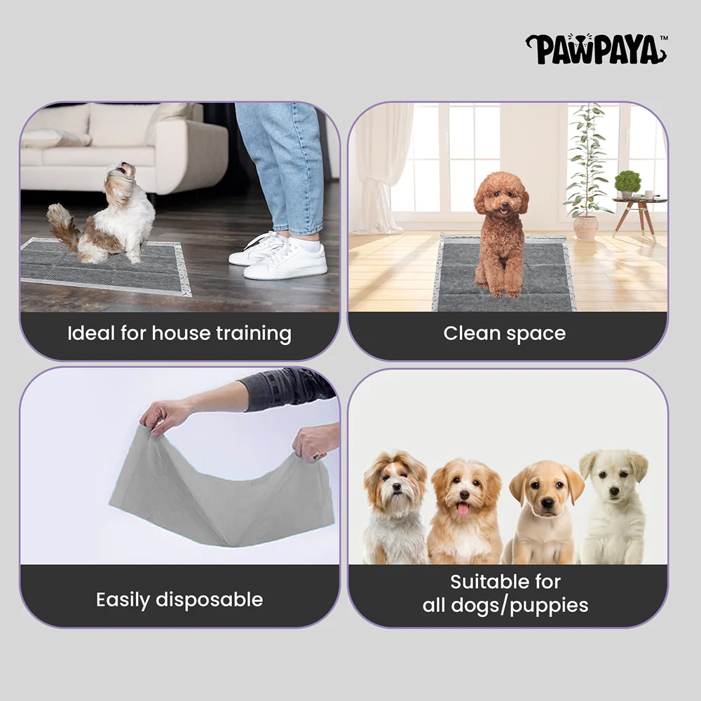 Pawpaya Carbon Training Pad for Dogs (White) - Image 5