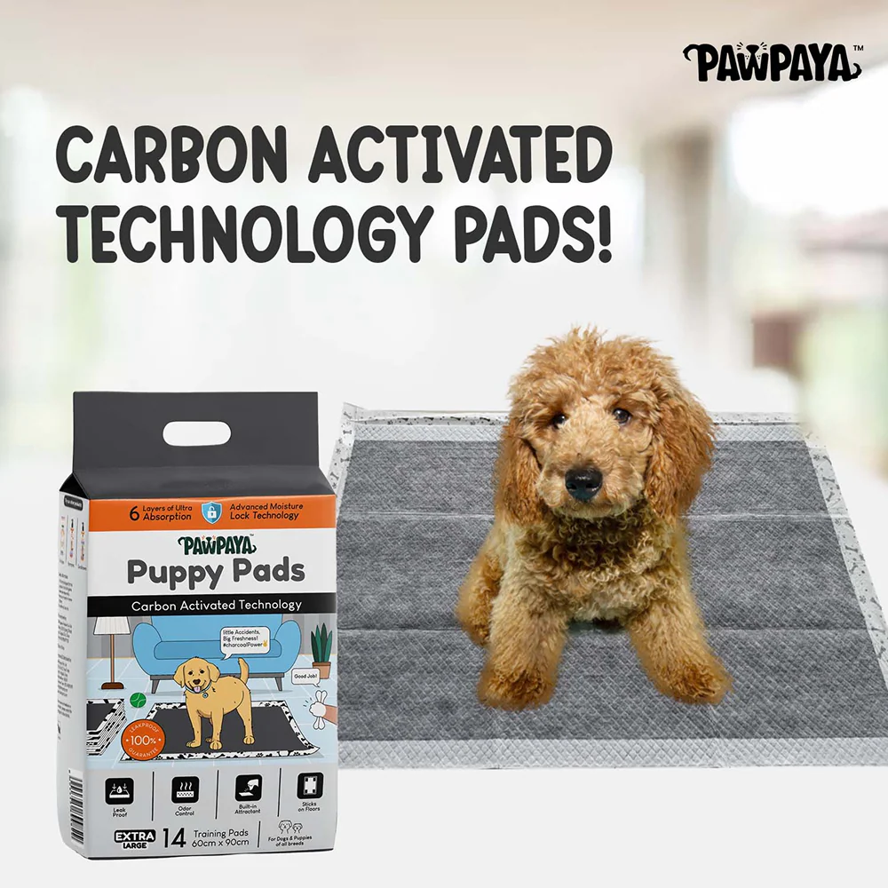 Pawpaya Carbon Training Pad for Dogs (White) - Image 6