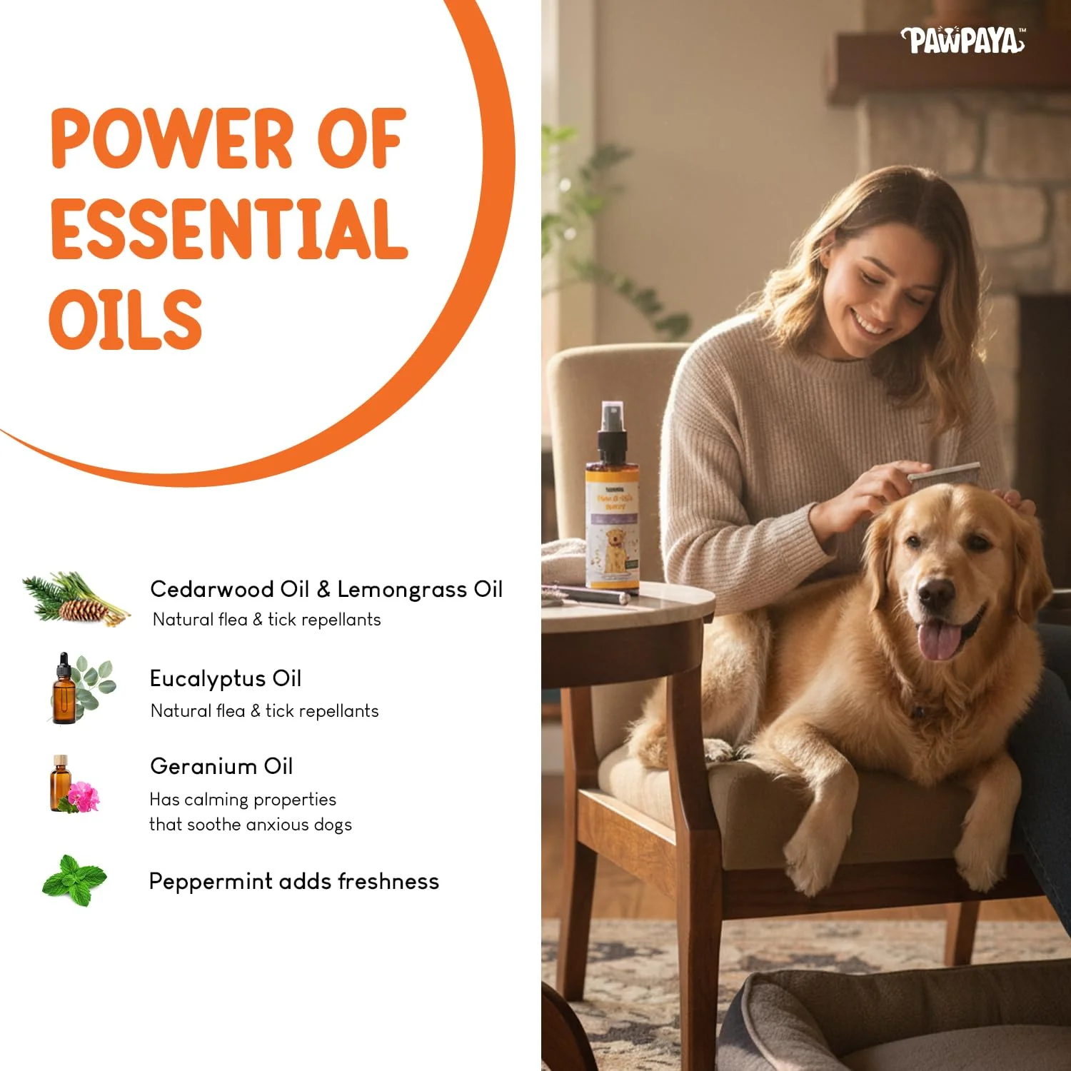 Pawpaya Flea and Tick Spray for Dogs and Cats - Image 2