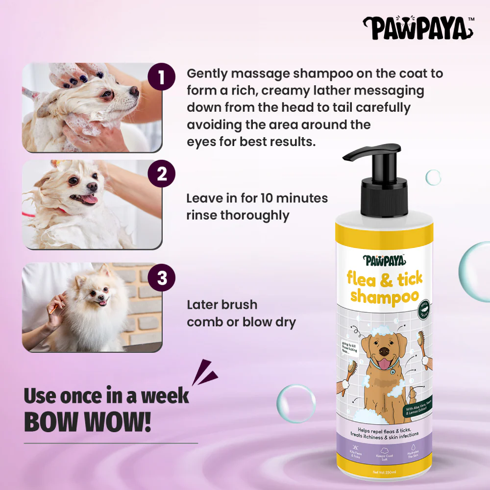 Pawpaya Flea & Tick Shampoo for Dogs - Image 2