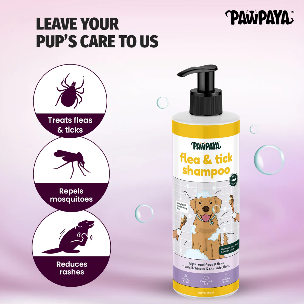 Pawpaya Flea & Tick Shampoo for Dogs - Image 3