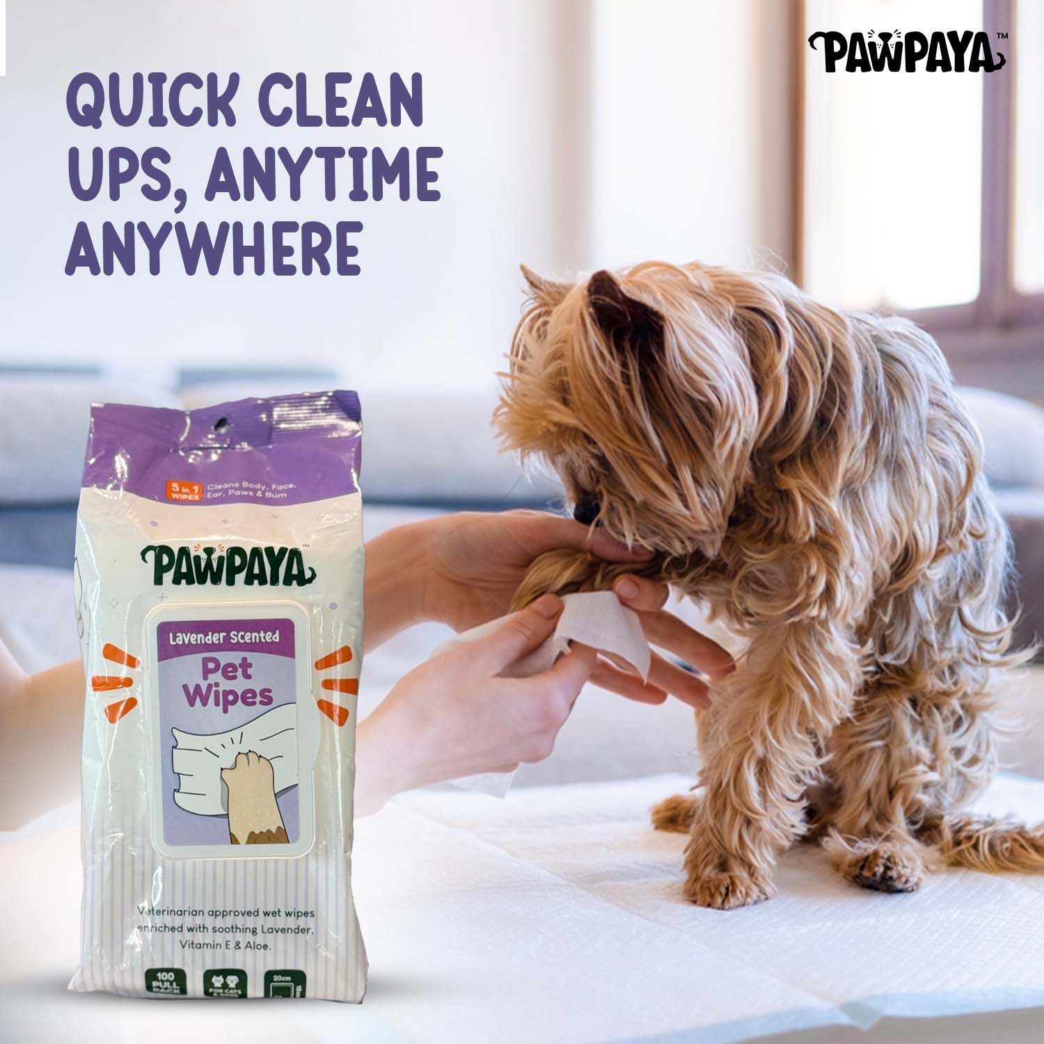 Pawpaya Lavender Scented Wipes for Dogs and Cats - Image 4