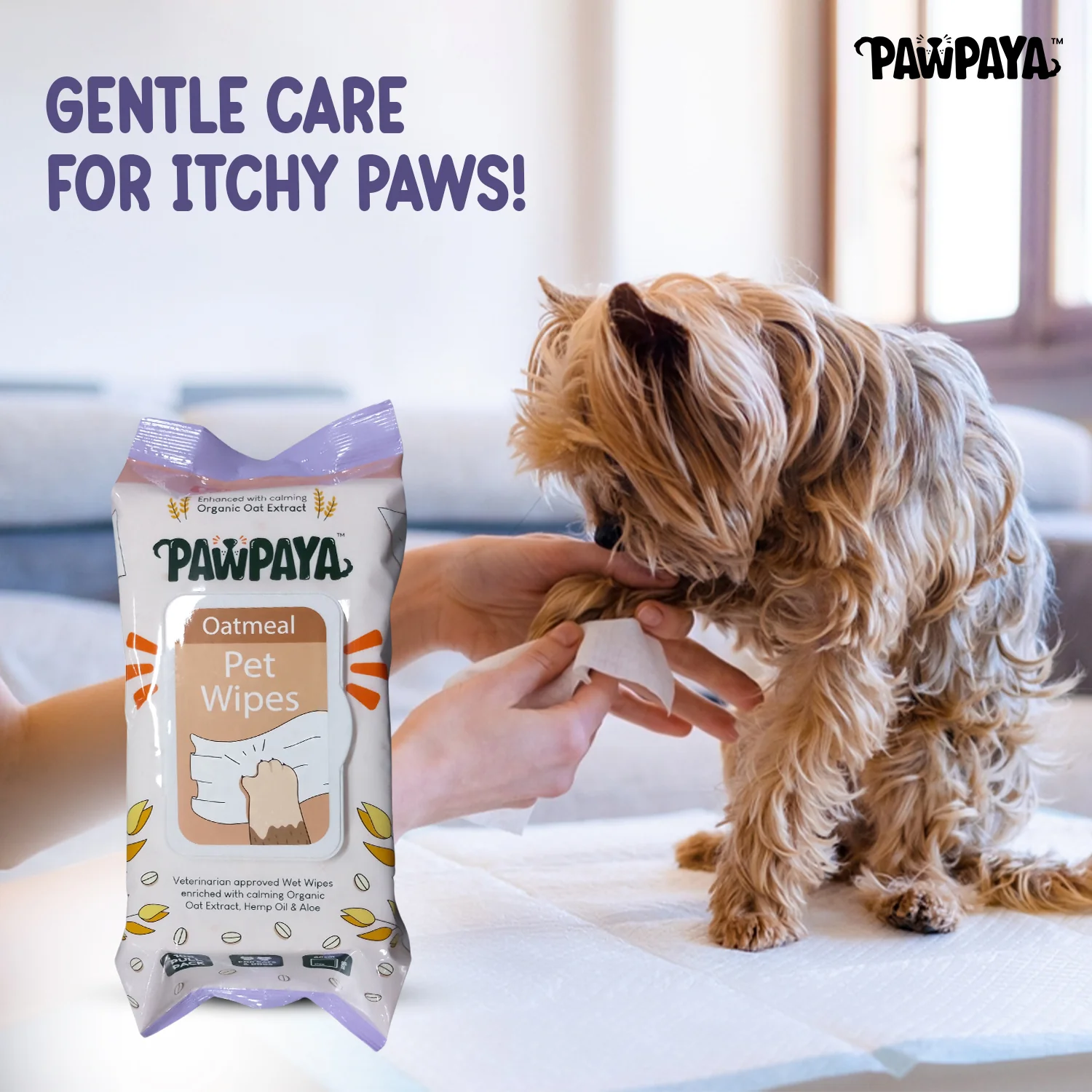 Pawpaya Oatmeal Wipes for Pets - Image 2