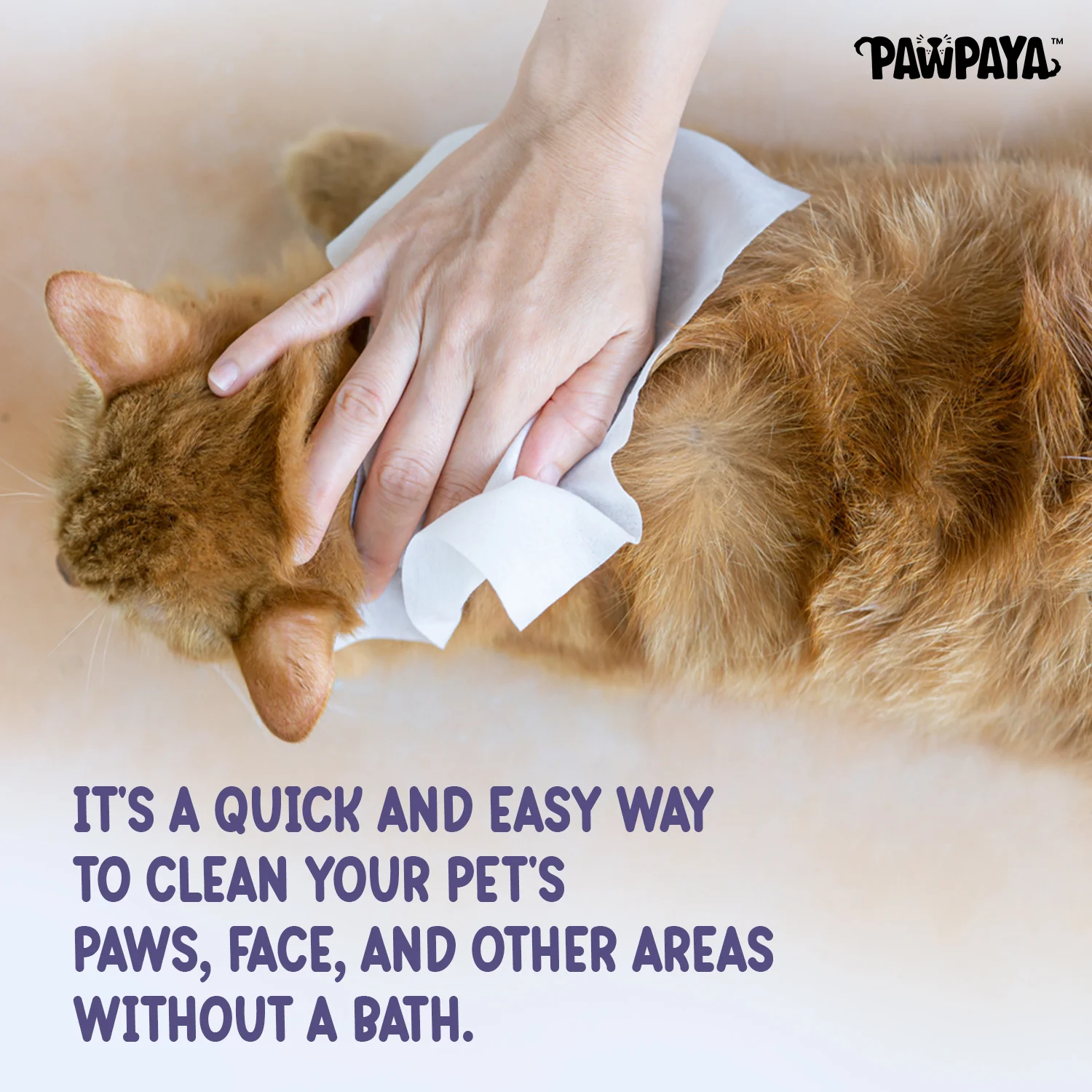 Pawpaya Oatmeal Wipes for Pets - Image 5