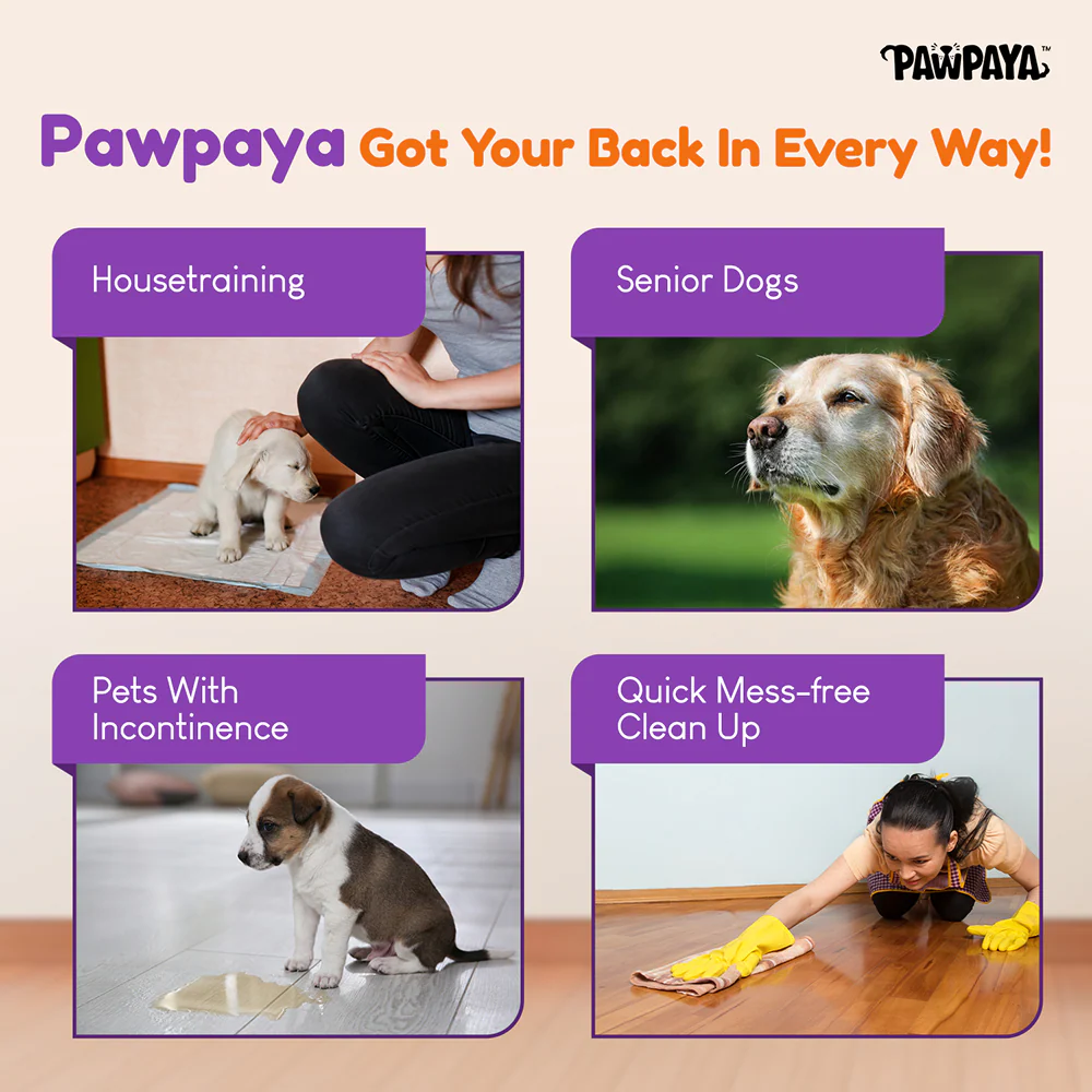 Pawpaya Pee Lock Powder for Dogs and Cats - Image 2
