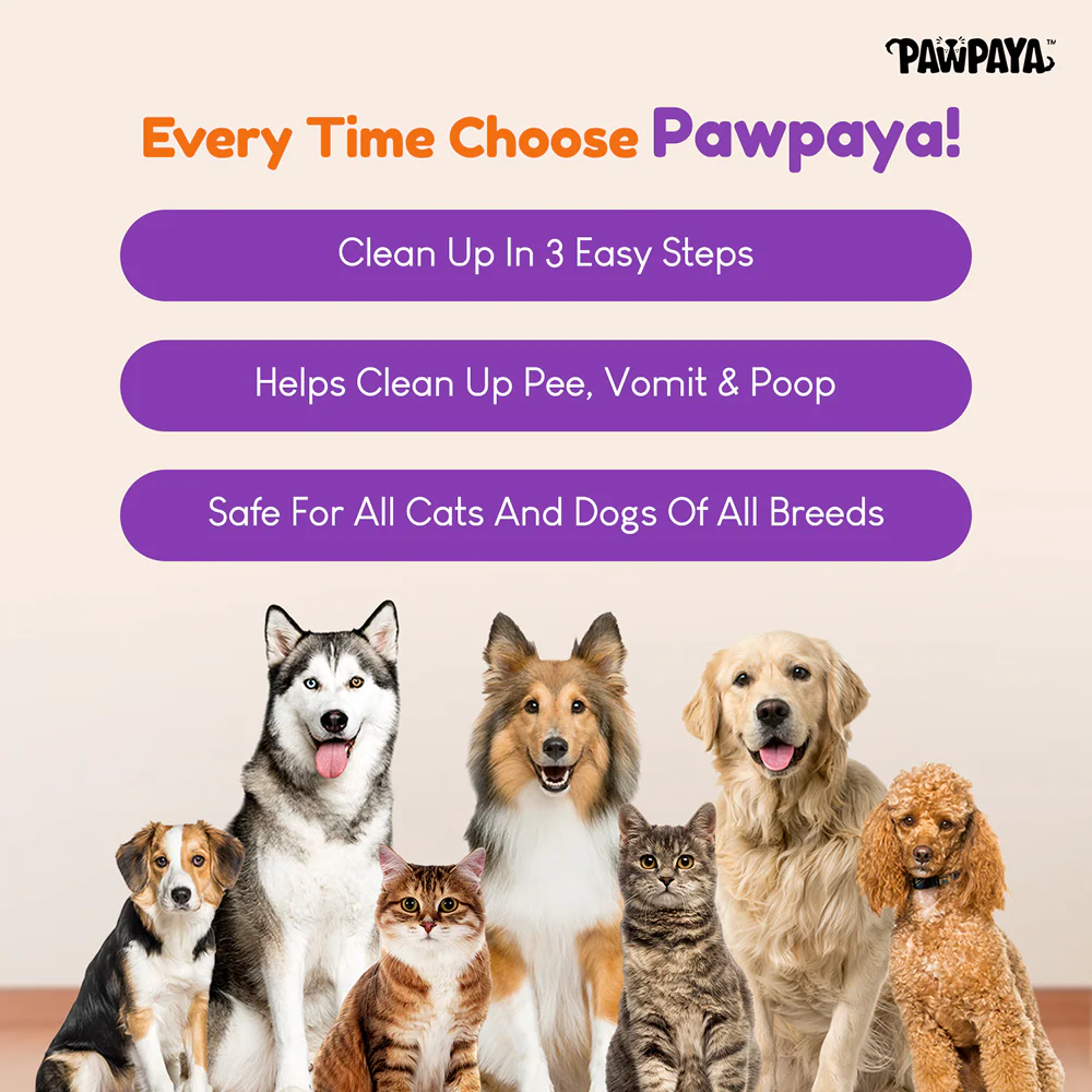 Pawpaya Pee Lock Powder for Dogs and Cats - Image 5
