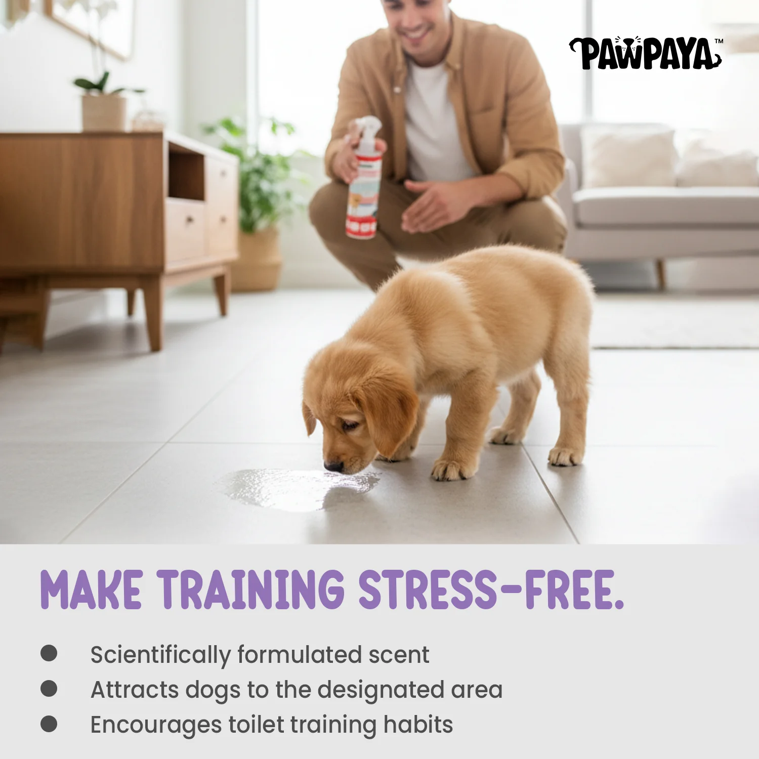 Pawpaya Puppy Training Aid for Dogs - Image 3