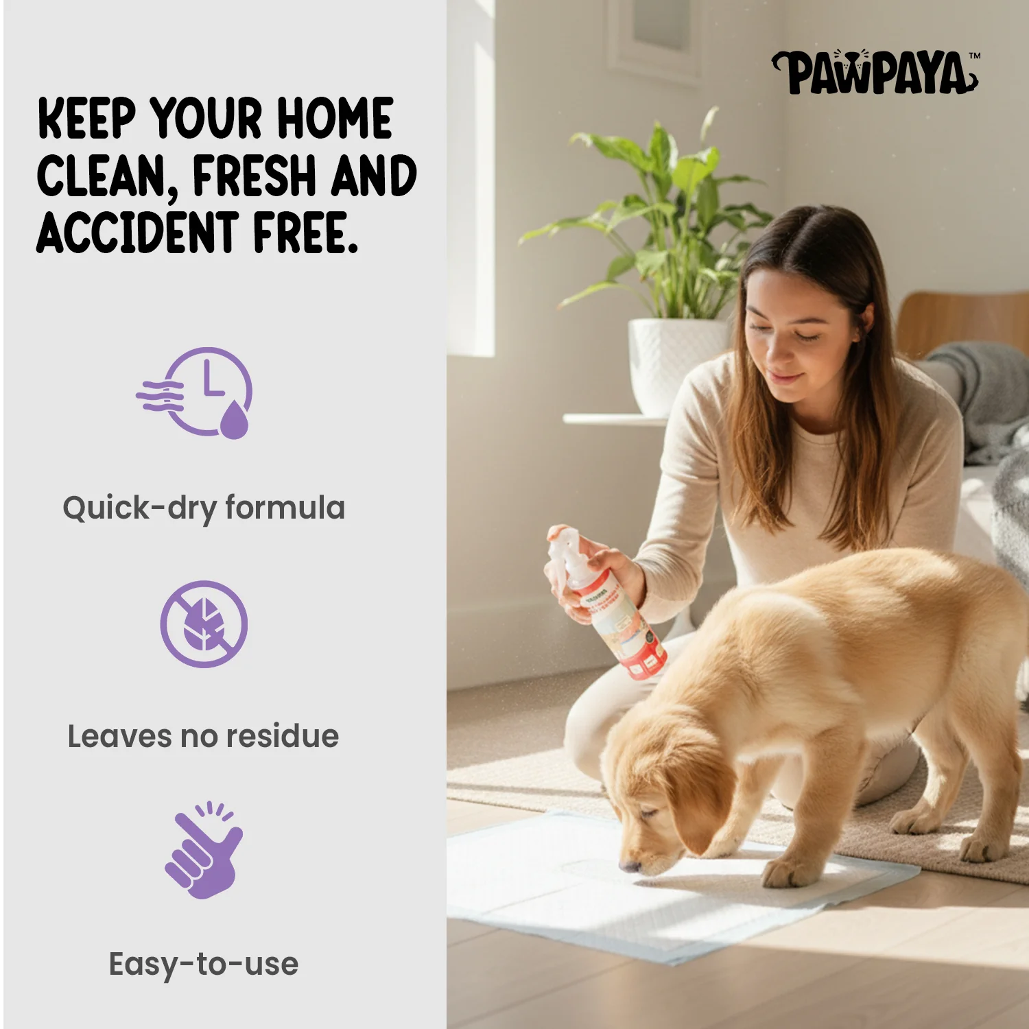 Pawpaya Puppy Training Aid for Dogs - Image 4