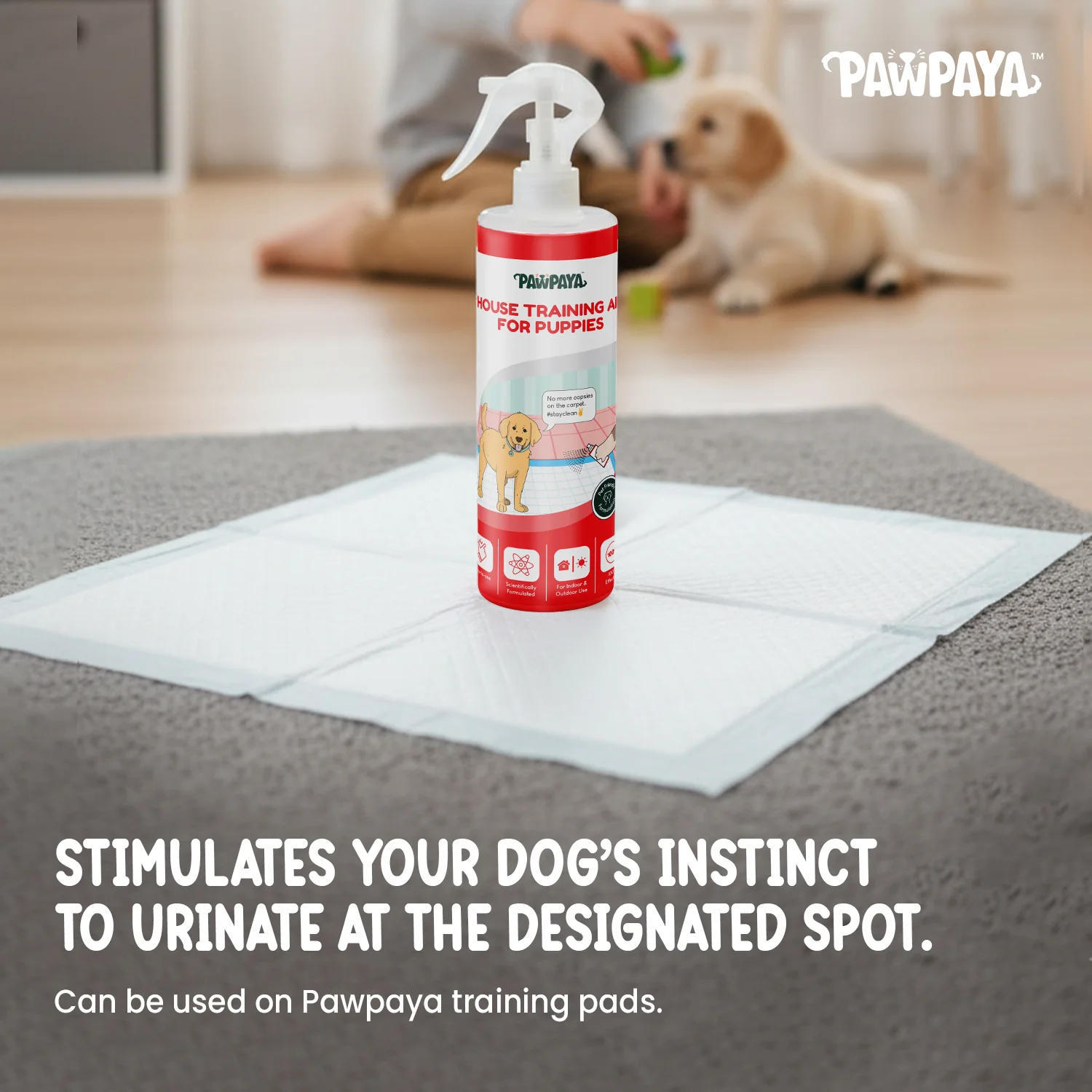 Pawpaya Puppy Training Aid for Dogs - Image 5