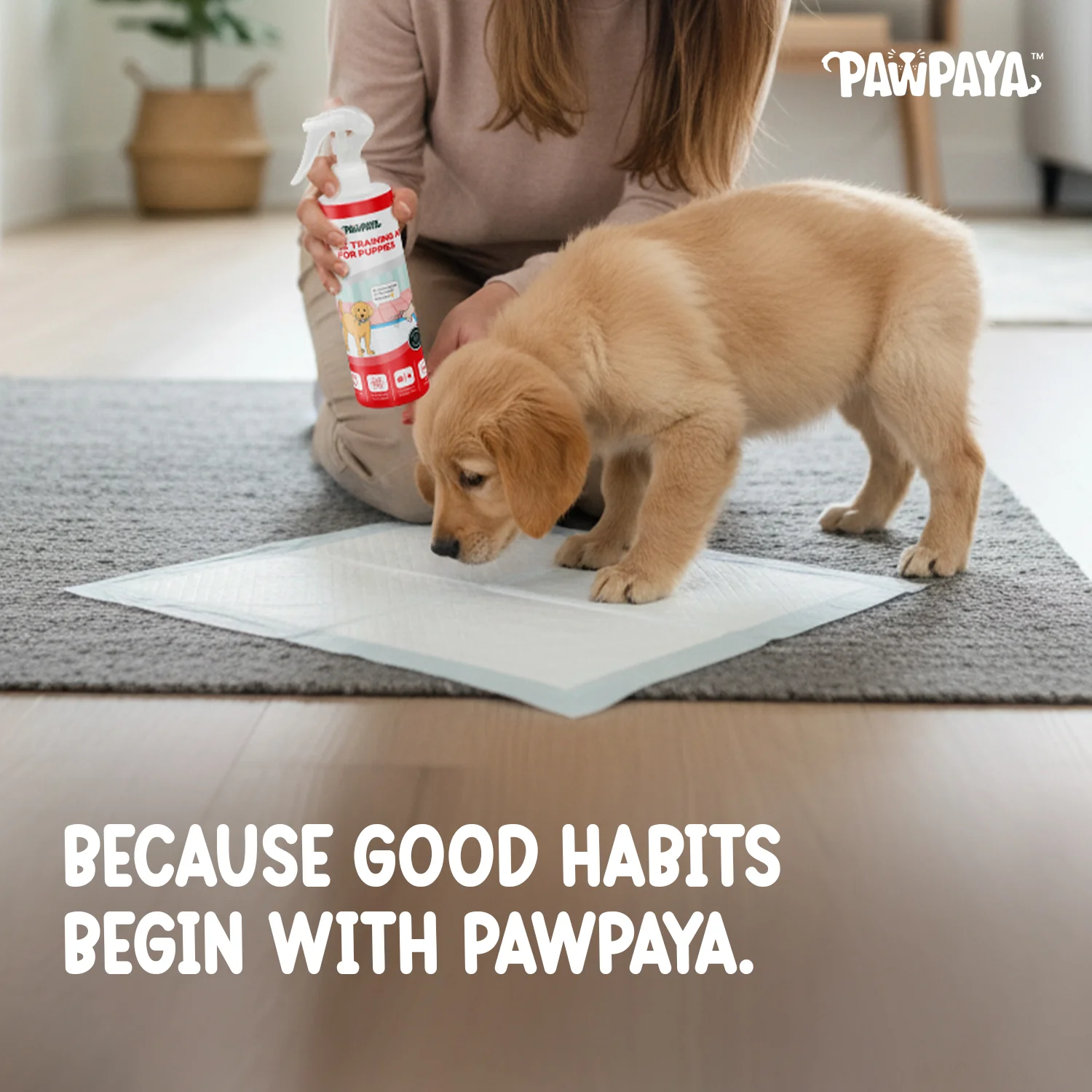 Pawpaya Puppy Training Aid for Dogs - Image 6
