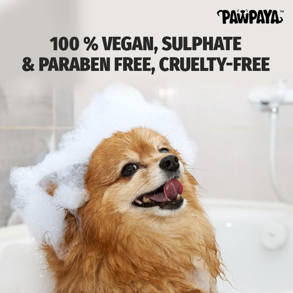 Pawpaya Short Coat Shampoo for Dogs - Image 2