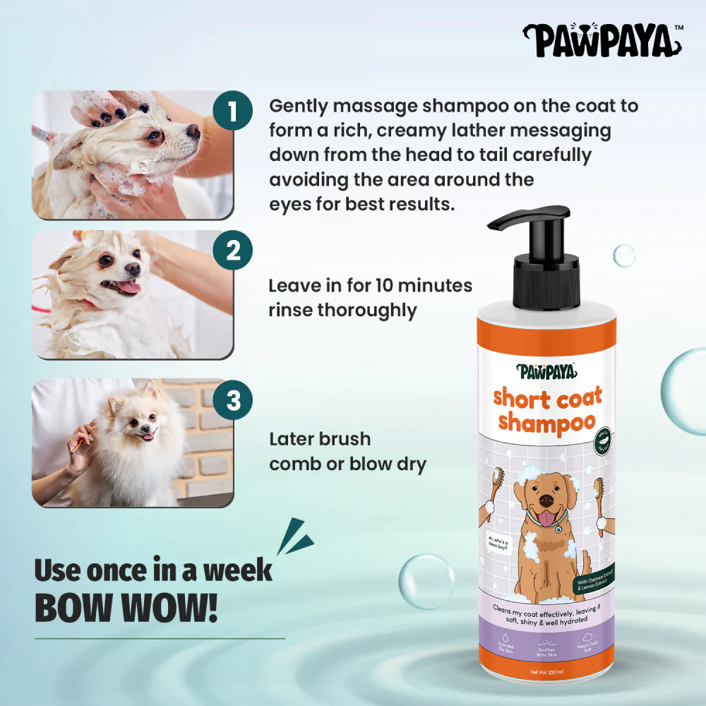 Pawpaya Short Coat Shampoo for Dogs - Image 3