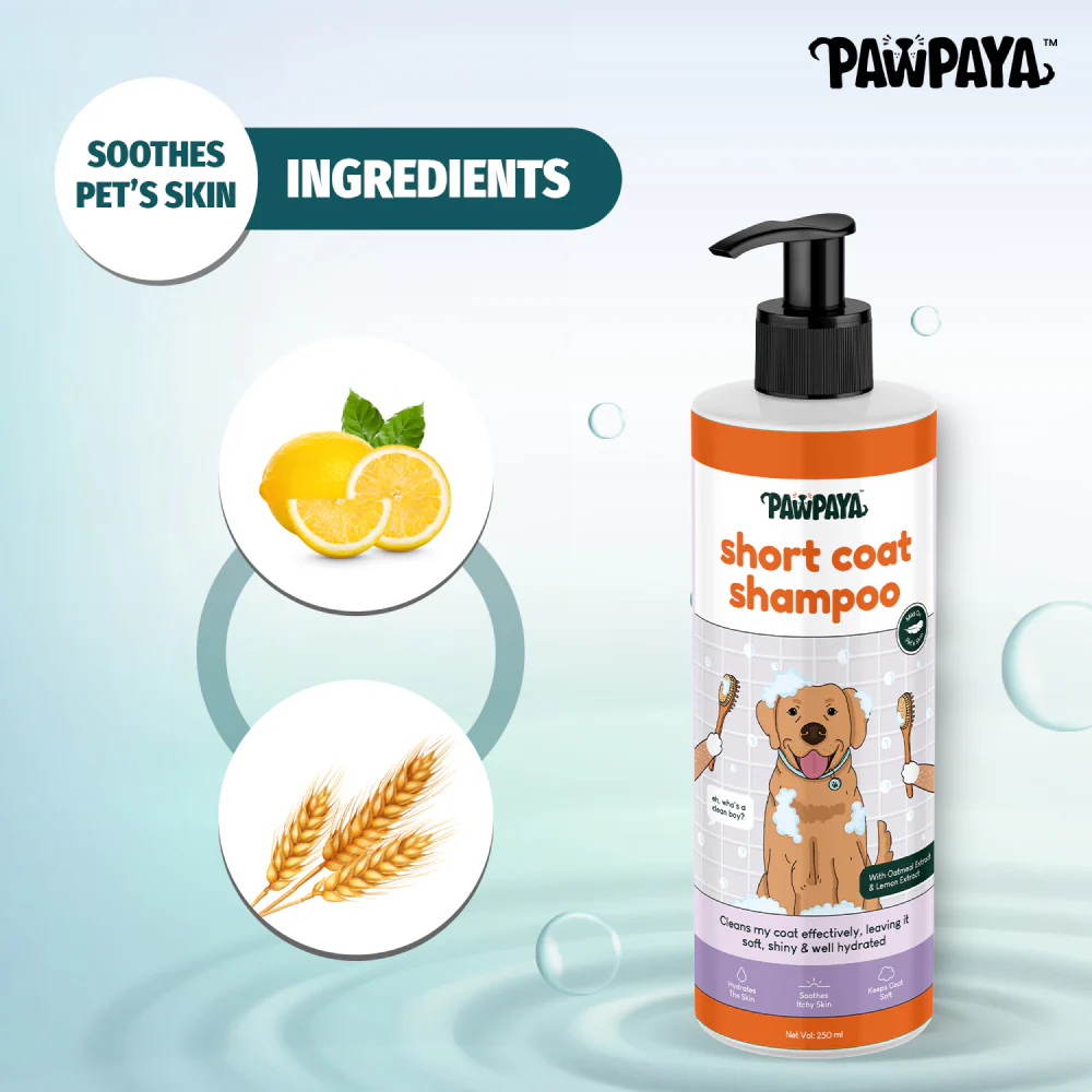 Pawpaya Short Coat Shampoo for Dogs - Image 5