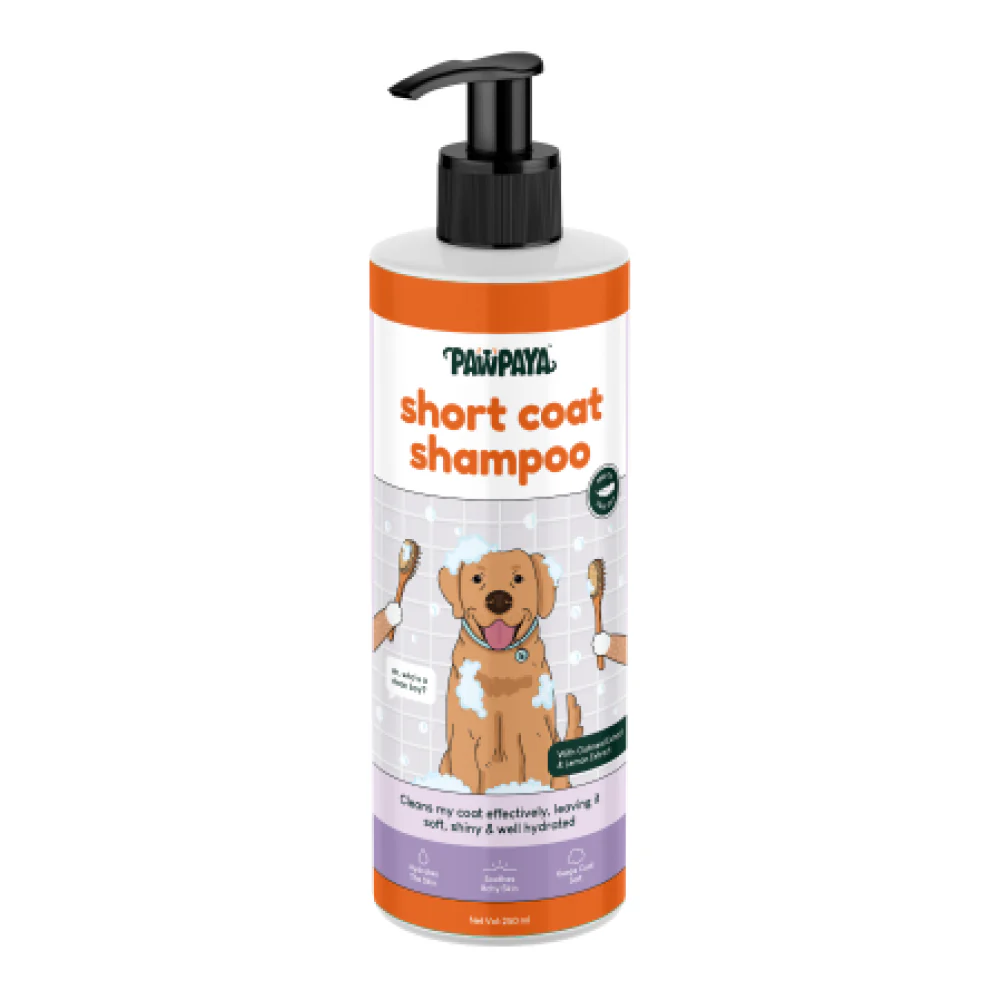 Pawpaya Short Coat Shampoo for Dogs - Image 6