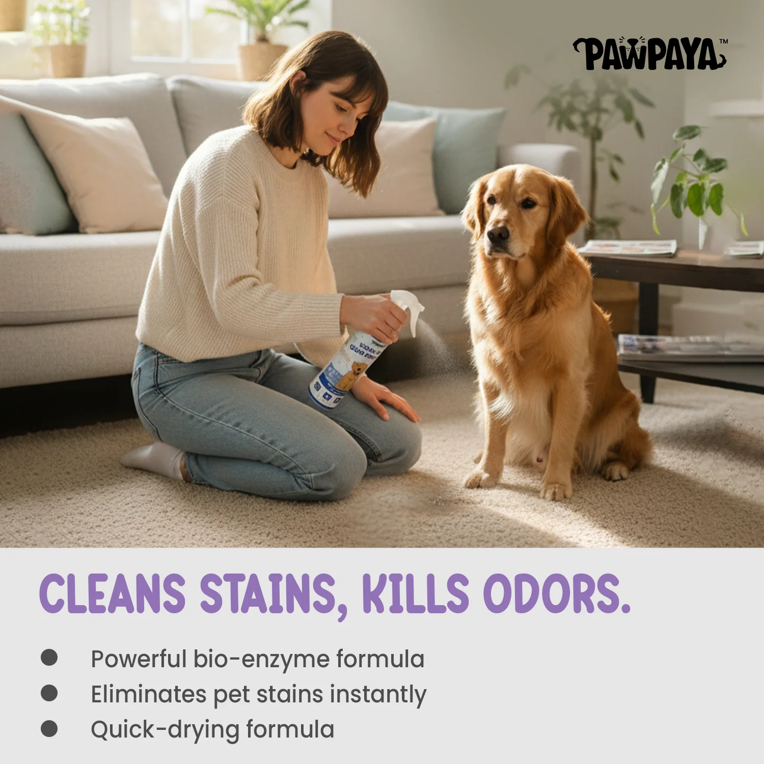 Pawpaya Stain and Odour Remover for Dogs - Image 3