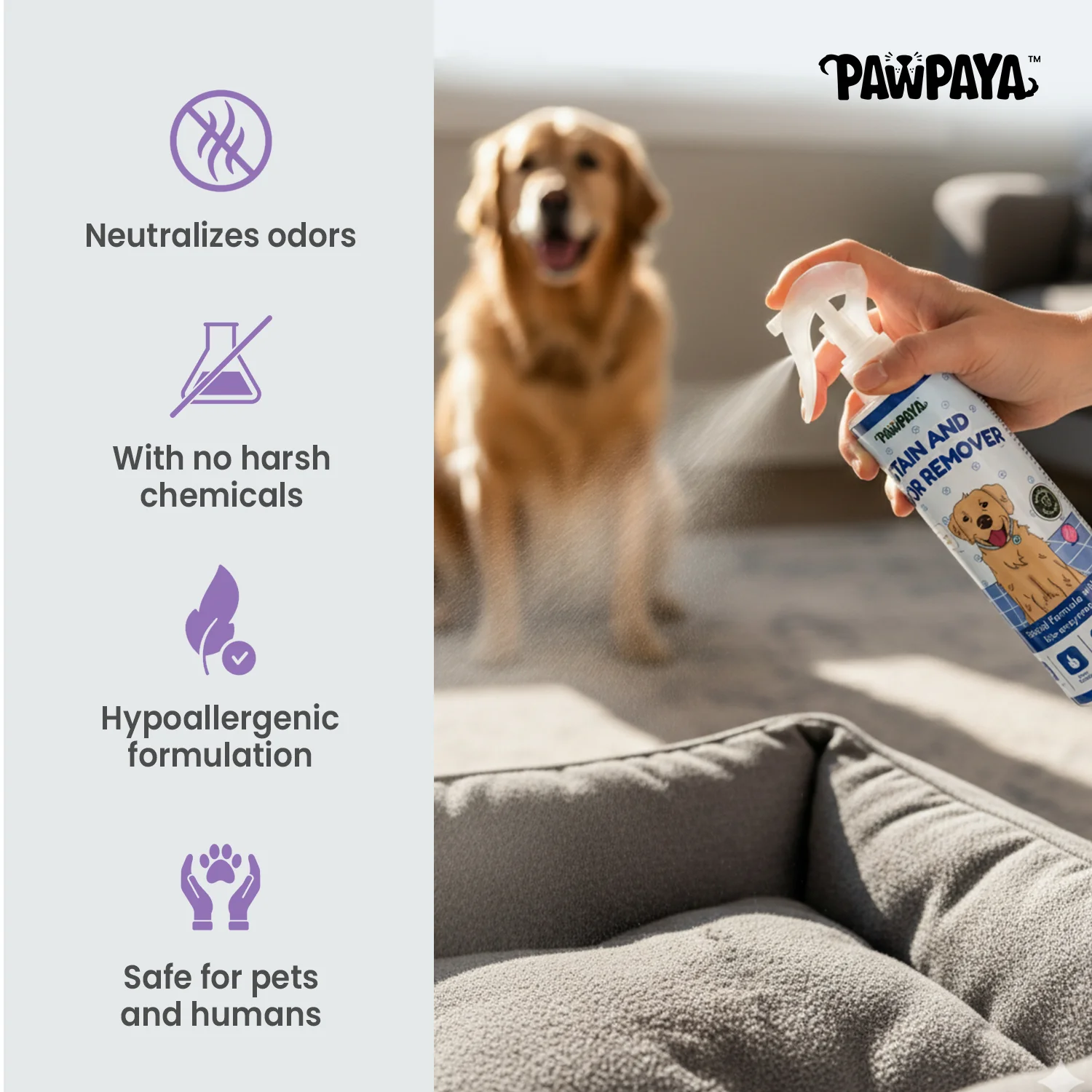 Pawpaya Stain and Odour Remover for Dogs - Image 4