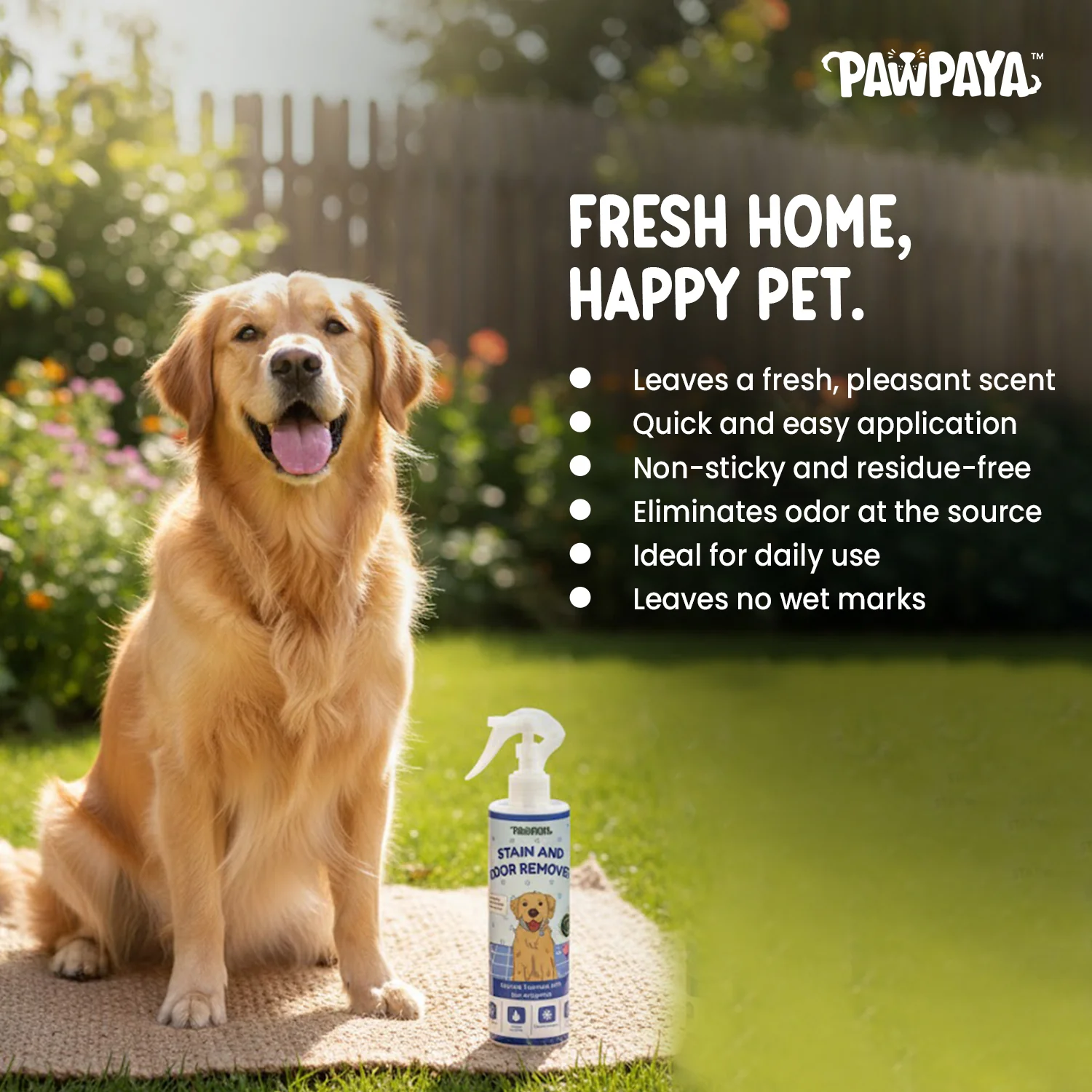 Pawpaya Stain and Odour Remover for Dogs - Image 5
