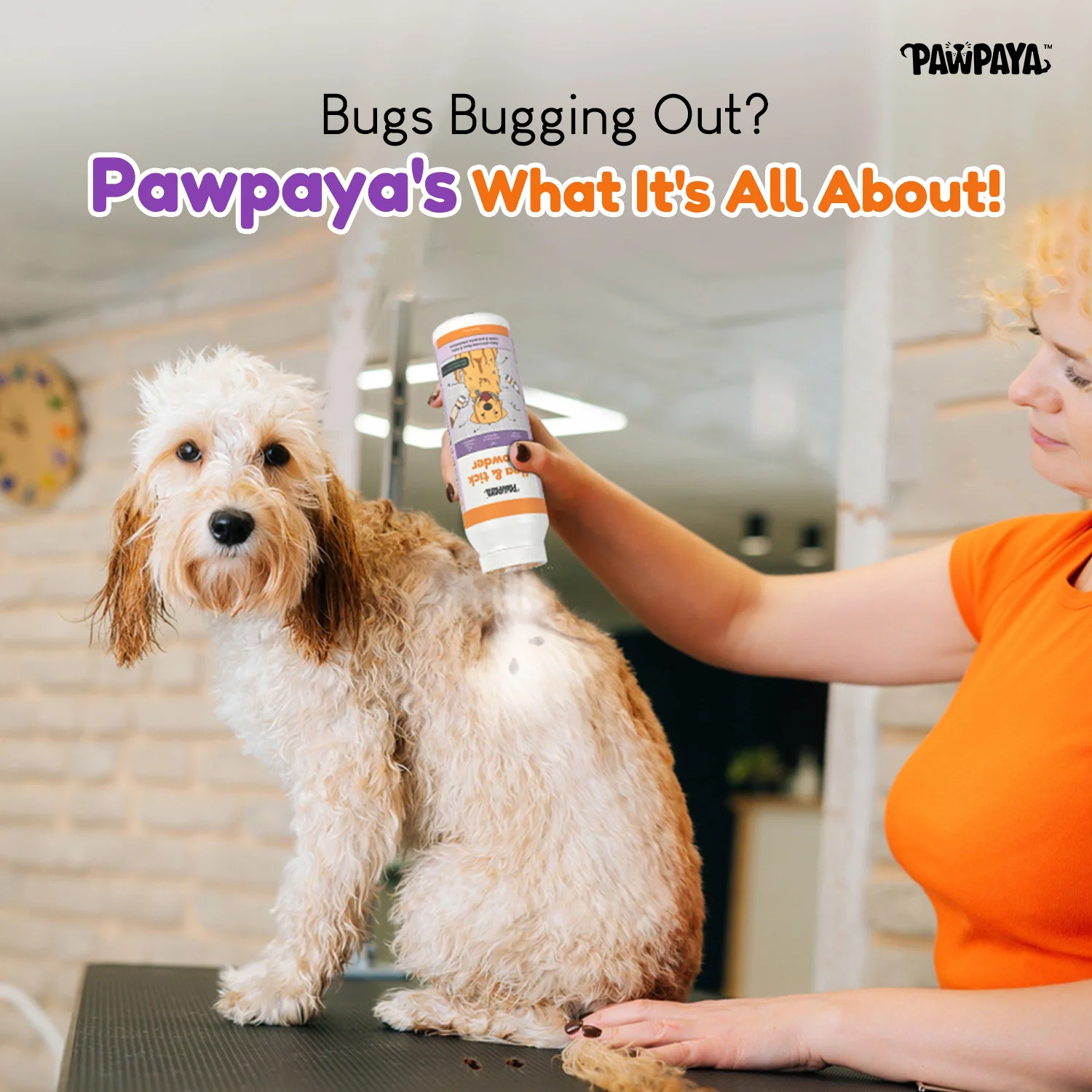 Pawpaya Tick and Flea Powder for Dogs and Cats - Image 2