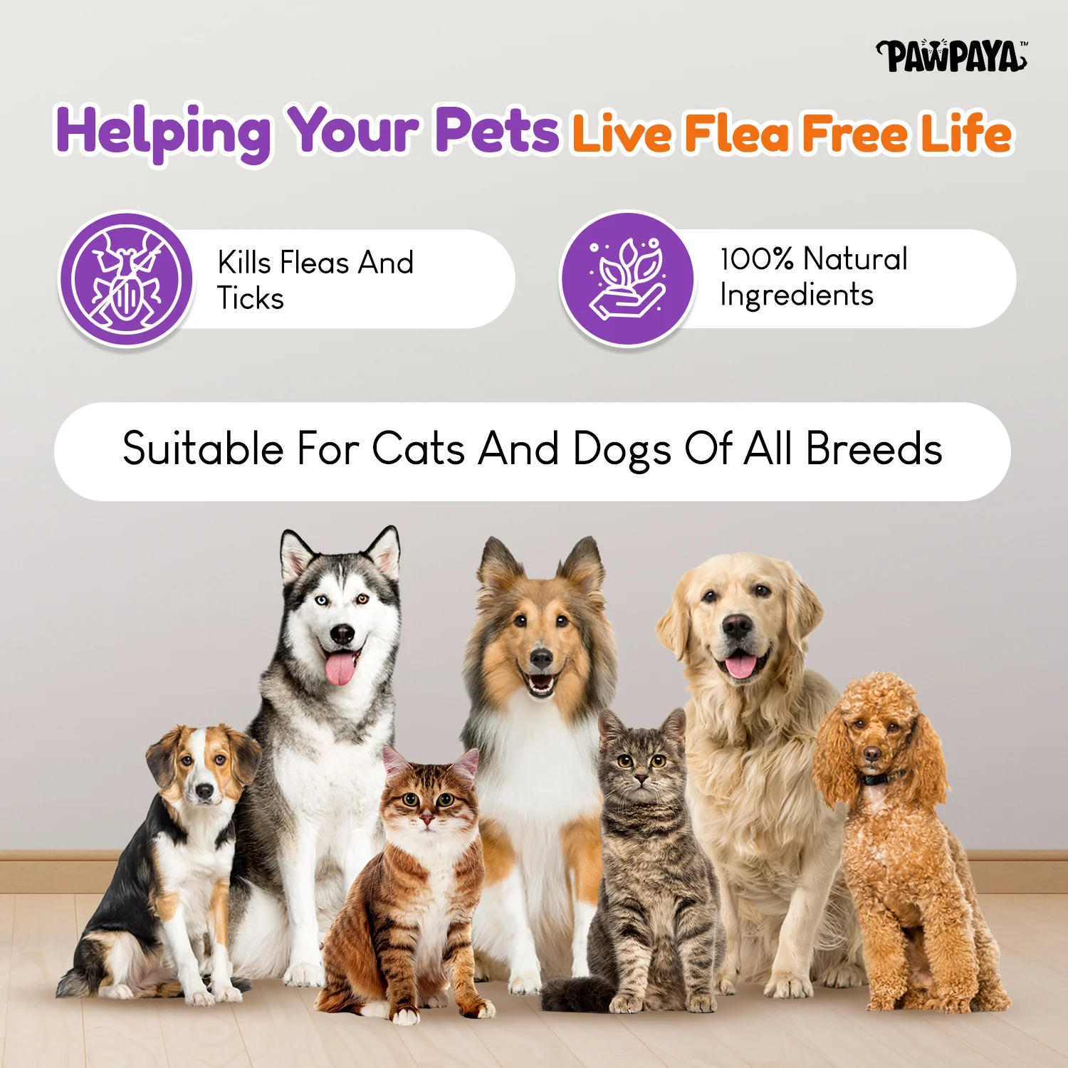 Pawpaya Tick and Flea Powder for Dogs and Cats - Image 5
