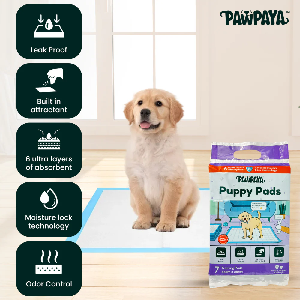 Pawpaya Training Pad for Dogs (White) - Image 2