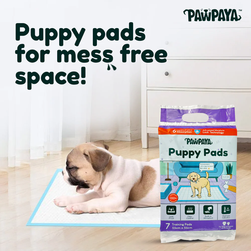 Pawpaya Training Pad for Dogs (White) - Image 3