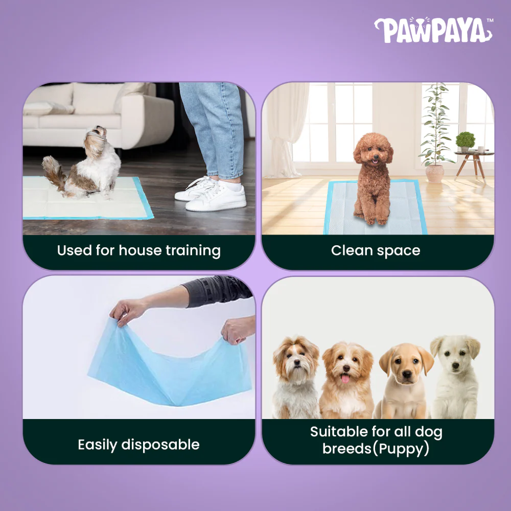 Pawpaya Training Pad for Dogs (White) - Image 5