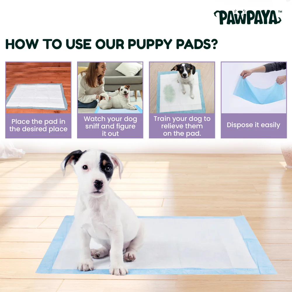 Pawpaya Training Pad for Dogs (White) - Image 6
