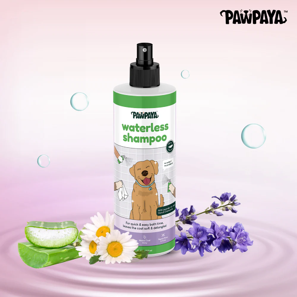 Pawpaya Waterless Shampoo for Dogs - Image 2