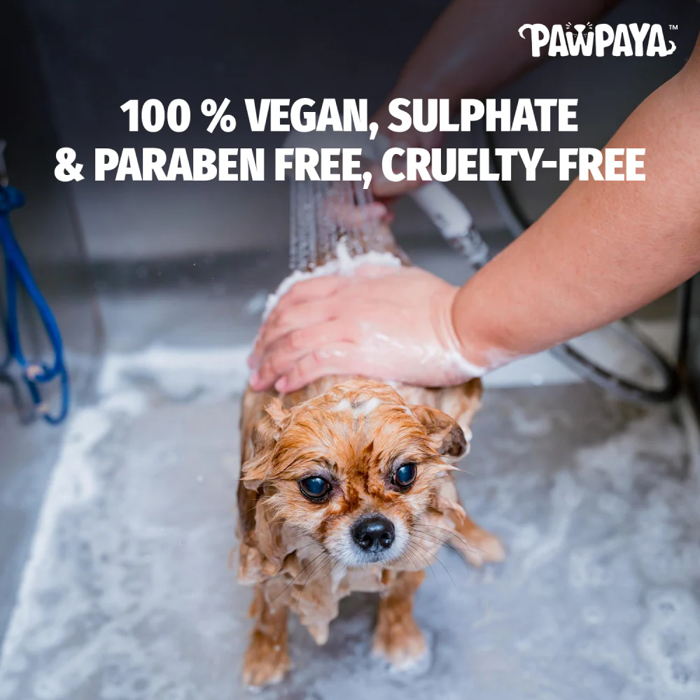 Pawpaya Whitening Coat Shampoo for Dogs - Image 2