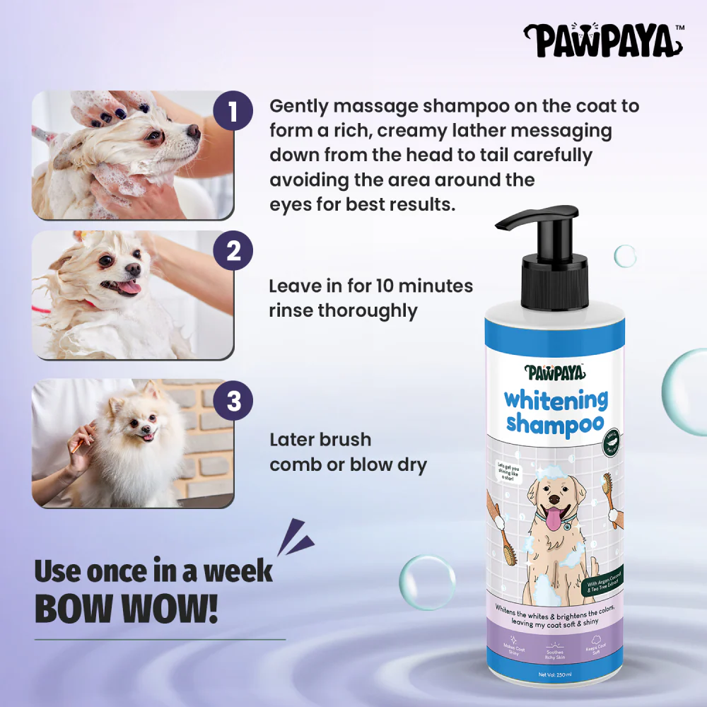 Pawpaya Whitening Coat Shampoo for Dogs - Image 3