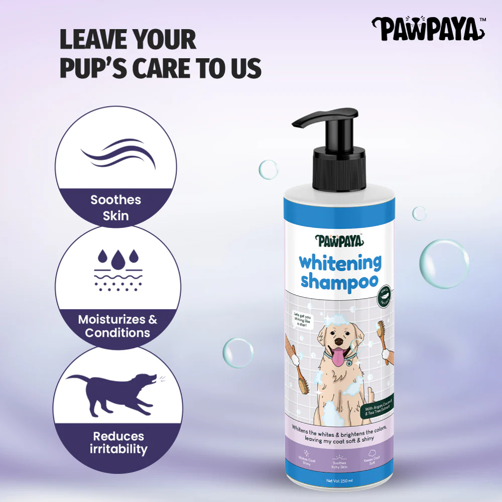 Pawpaya Whitening Coat Shampoo for Dogs - Image 4