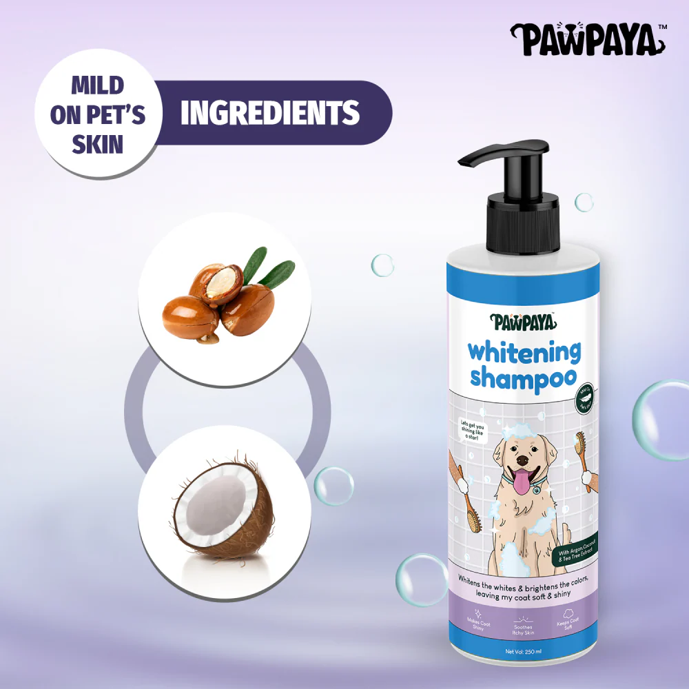 Pawpaya Whitening Coat Shampoo for Dogs - Image 5