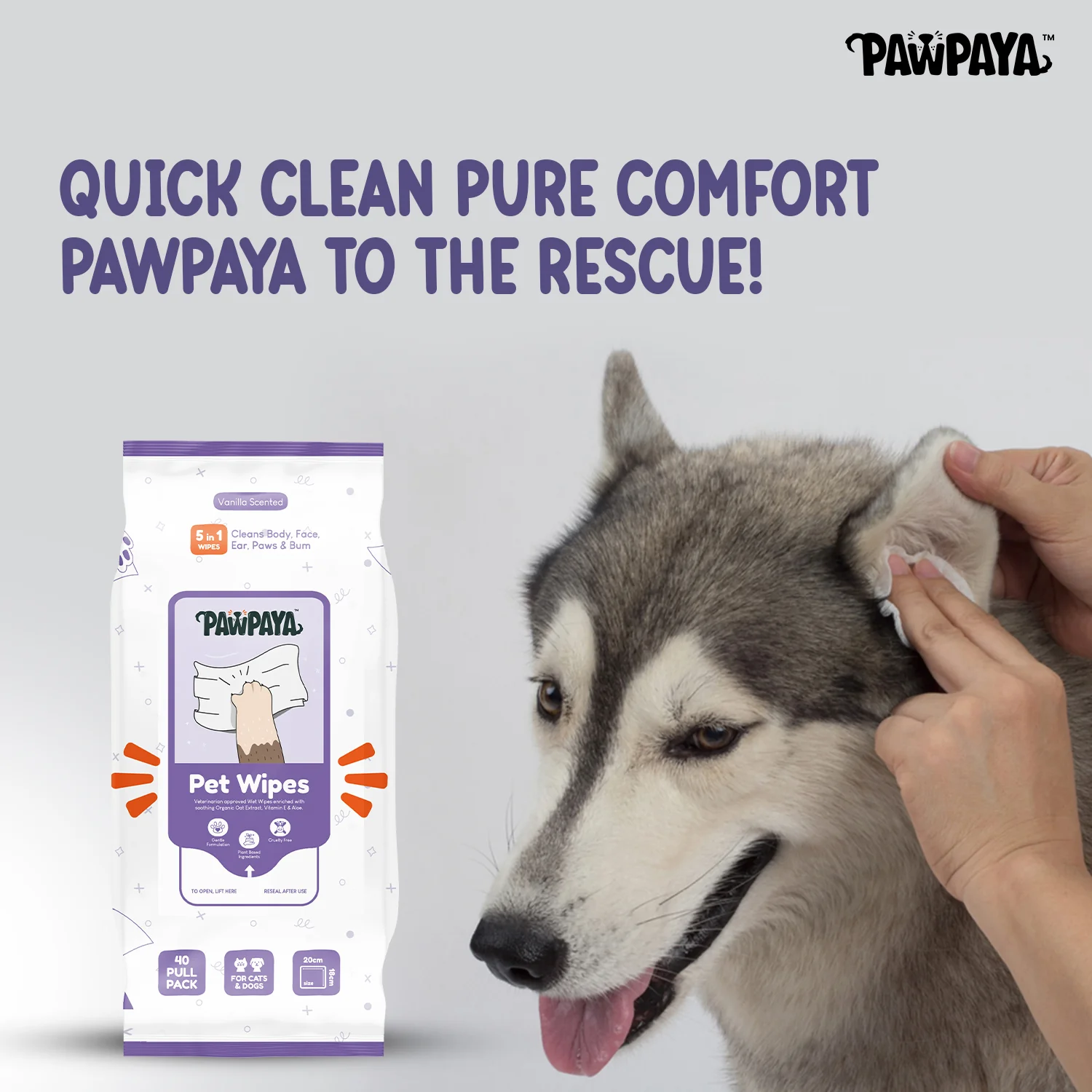 Pawpaya Lavender Wipes for Pets - Image 2