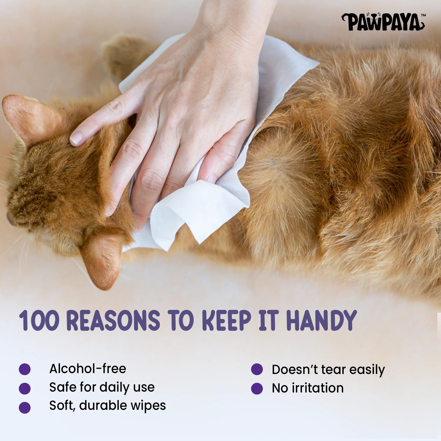 Pawpaya Lavender Wipes for Pets - Image 5