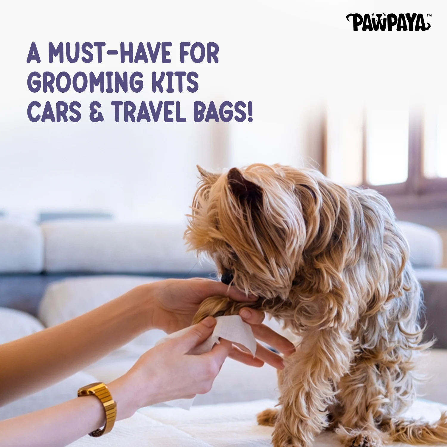 Pawpaya Lavender Wipes for Pets - Image 6