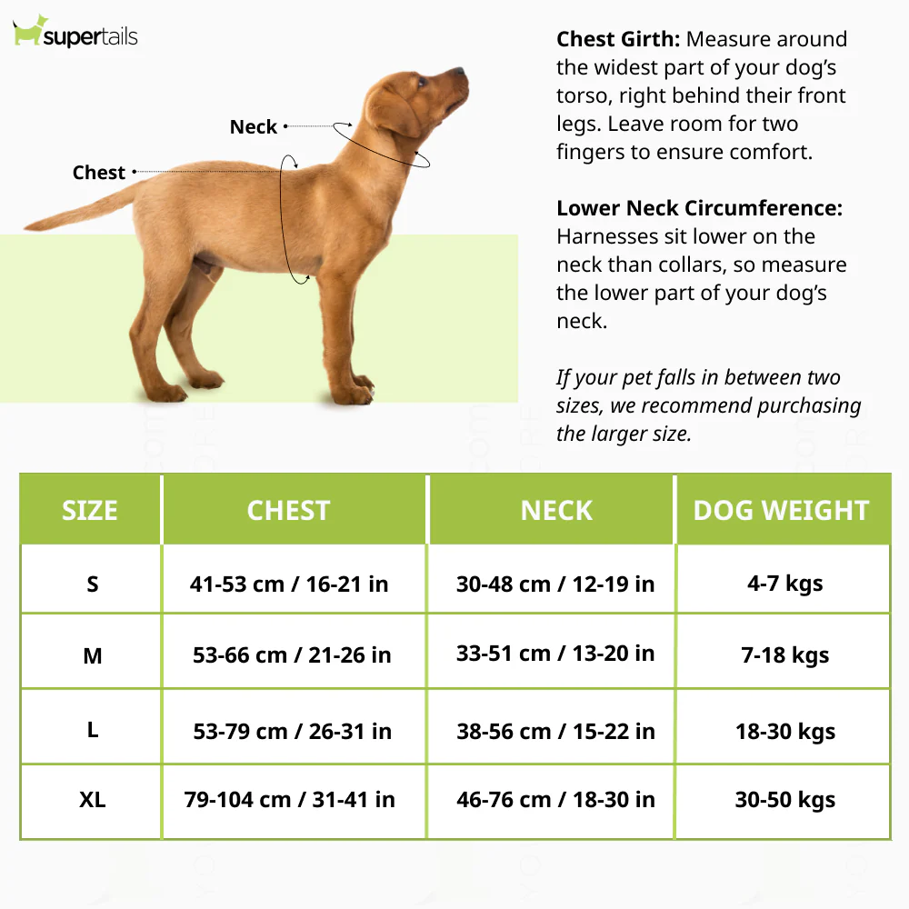 Pawpourri Adjustable Reflective Padded Harness for Dogs (Grey) - Image 2