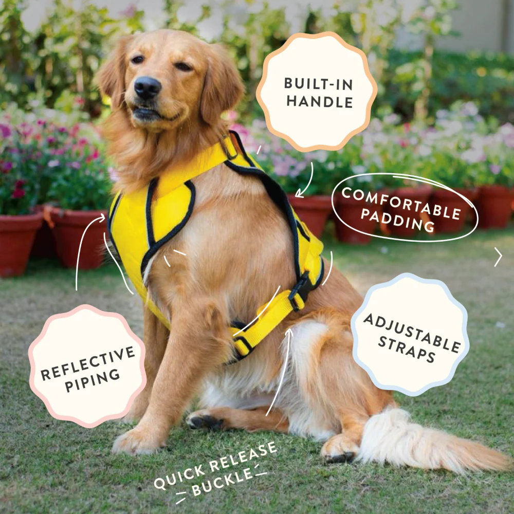 Pawpourri Adjustable Reflective Padded Harness for Dogs (Grey) - Image 4