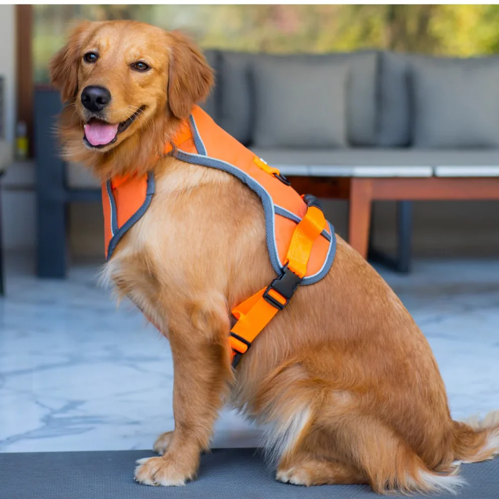 Pawpourri Adjustable Reflective Padded Harness for Dogs (Orange) - Image 4