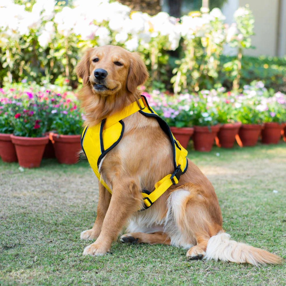 Pawpourri Adjustable Reflective Padded Harness for Dogs (Yellow) - Image 3